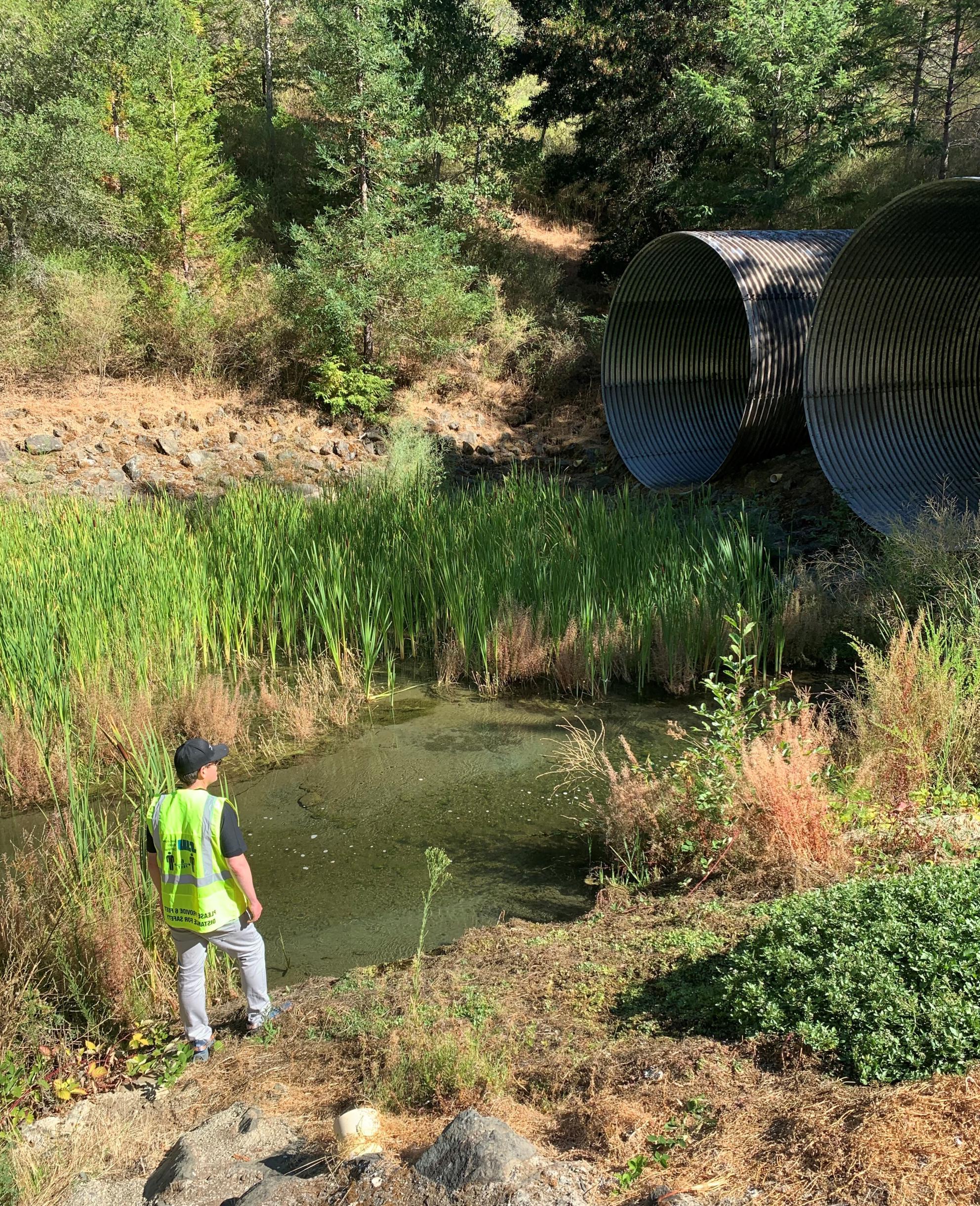 Jared in nature looking up at culverts